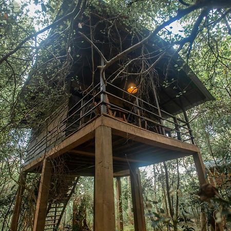 Inn On The Tree Eco Resort Sigiriya Kibissa Exterior foto