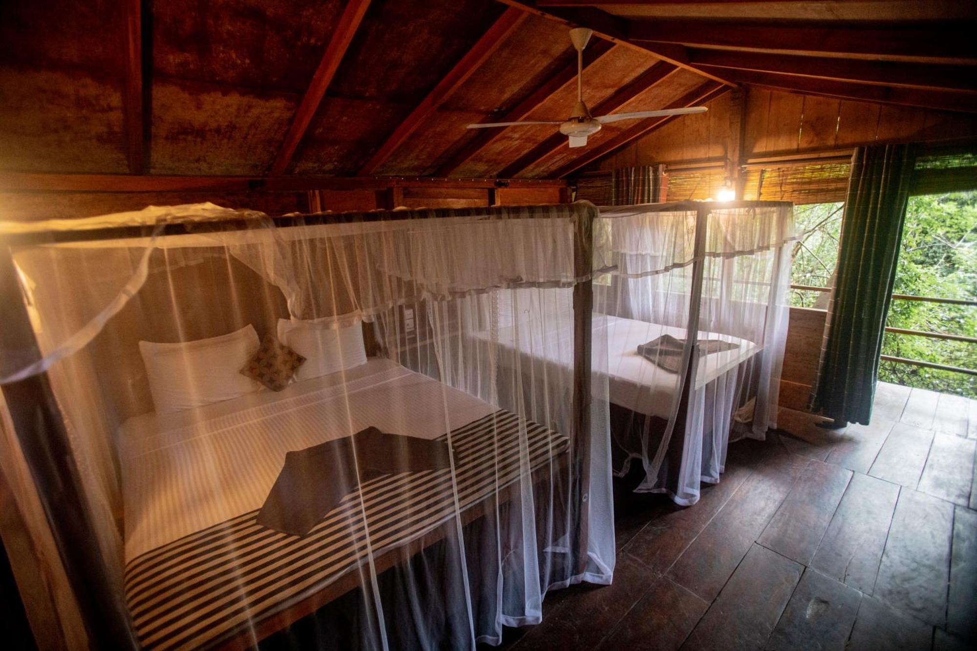 Inn On The Tree Eco Resort Sigiriya Kibissa Exterior foto