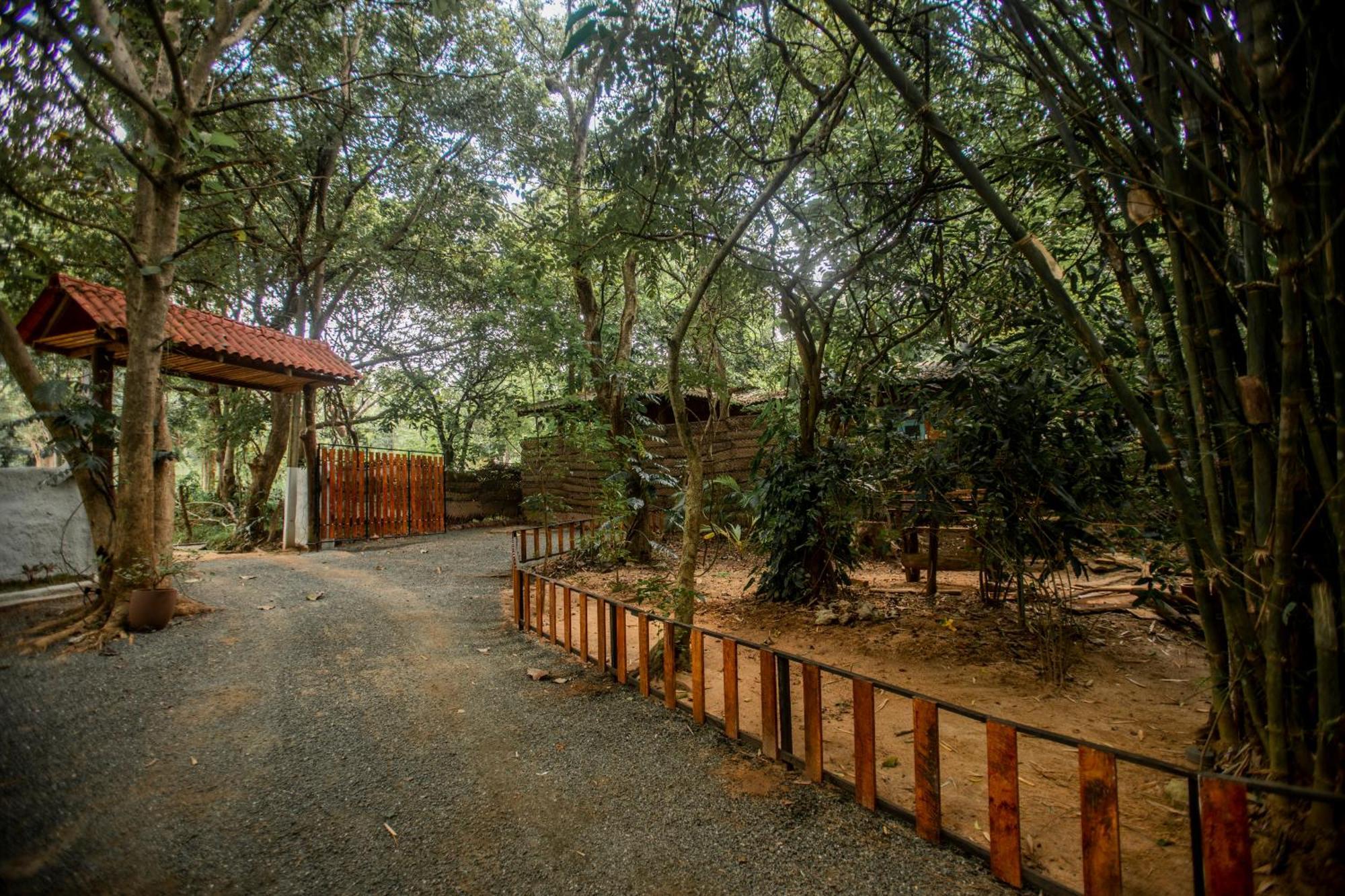 Inn On The Tree Eco Resort Sigiriya Kibissa Exterior foto