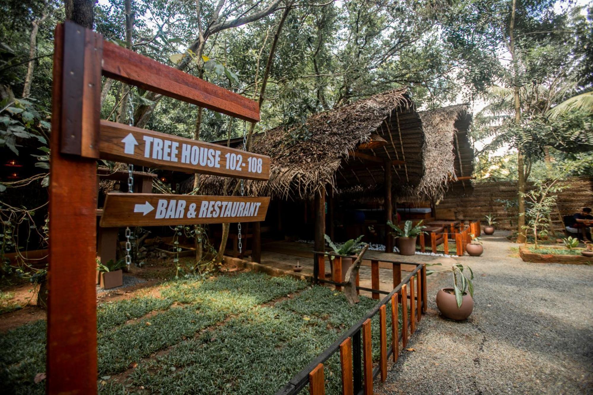 Inn On The Tree Eco Resort Sigiriya Kibissa Exterior foto