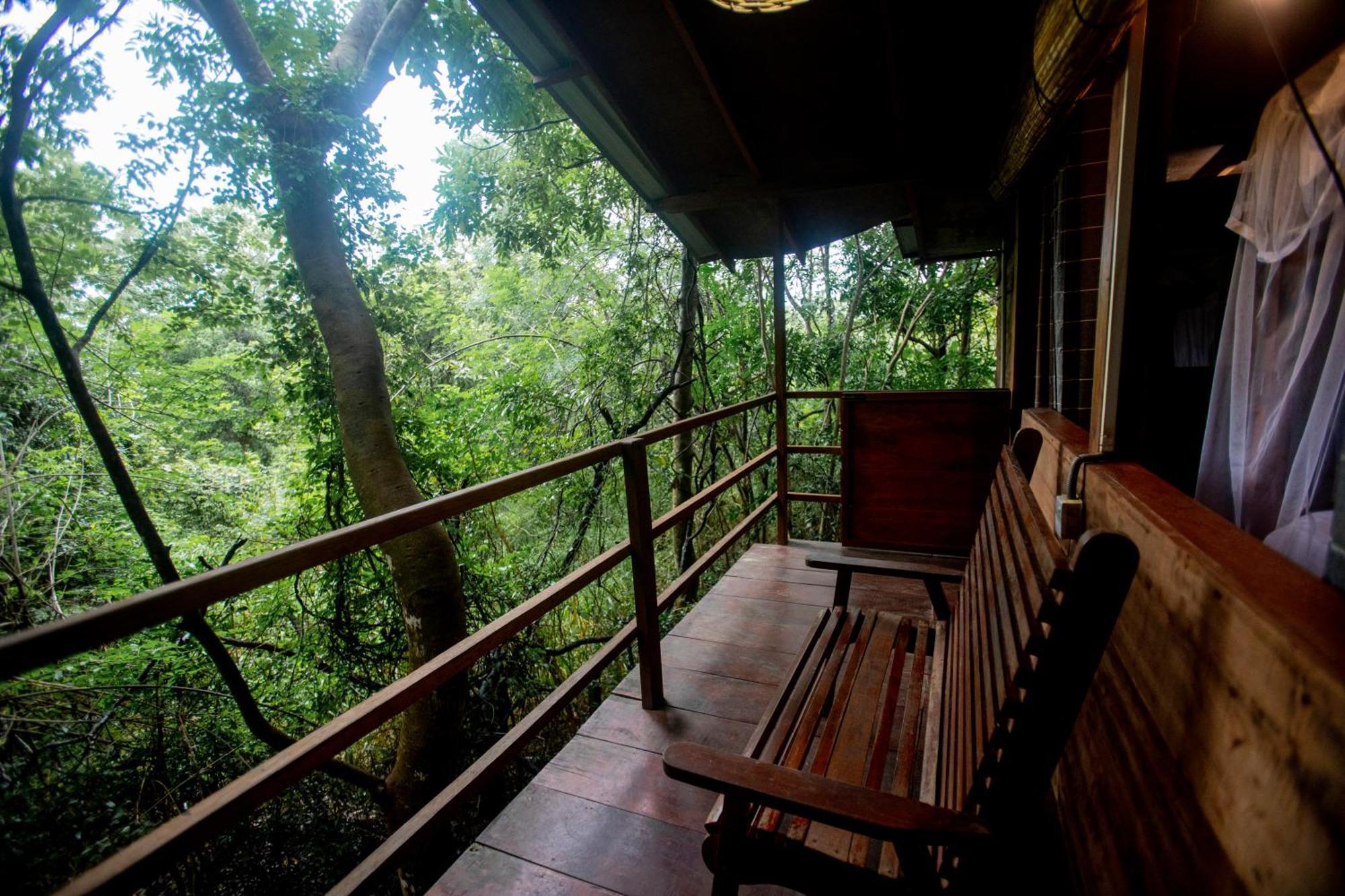 Inn On The Tree Eco Resort Sigiriya Kibissa Exterior foto
