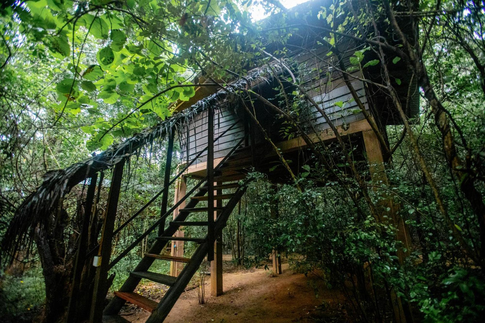 Inn On The Tree Eco Resort Sigiriya Kibissa Exterior foto