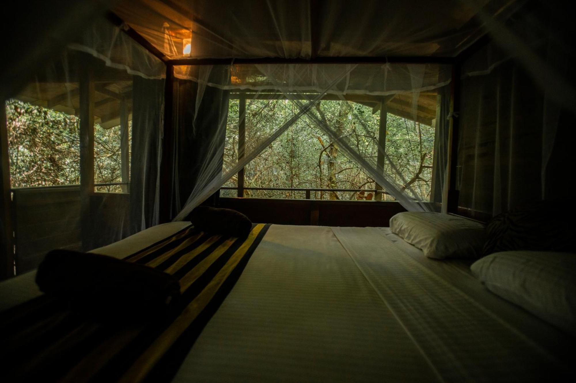 Inn On The Tree Eco Resort Sigiriya Kibissa Exterior foto